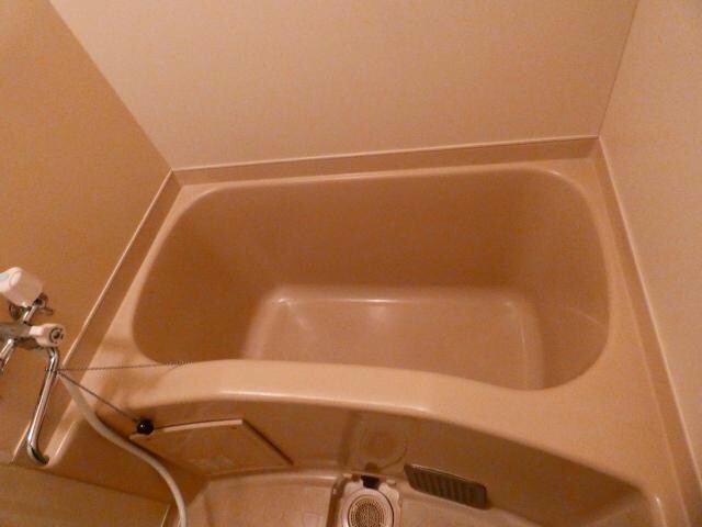 メゾンドール明星の物件内観写真