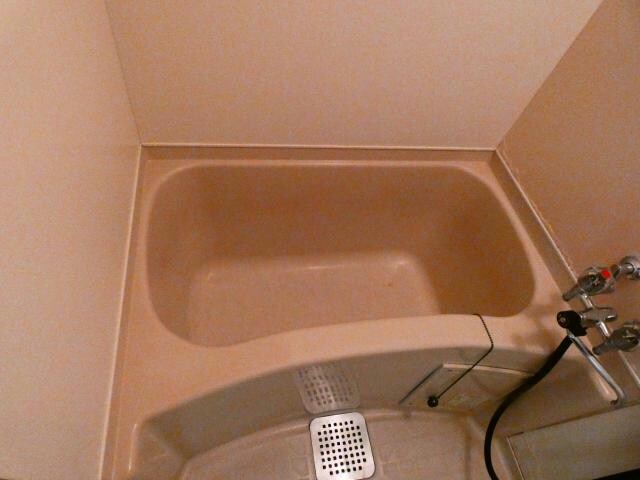 メゾンドール明星の物件内観写真