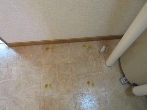 ミレニアム425の物件内観写真