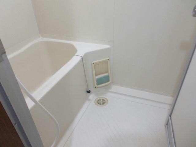 トラウテスハイムの物件内観写真