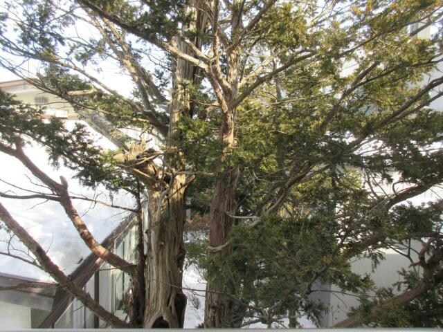 トラウテスハイムの物件内観写真