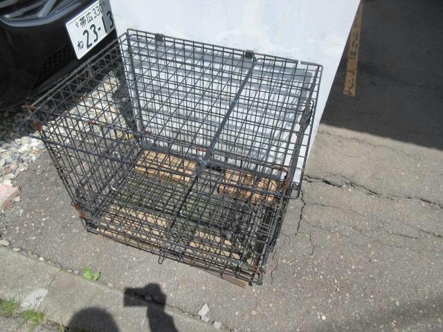 トラウテスハイムの物件内観写真