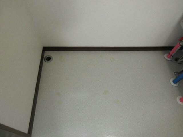 エムエル13の物件内観写真