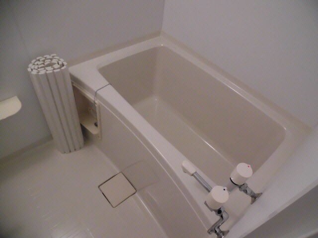 マロードⅢの物件内観写真