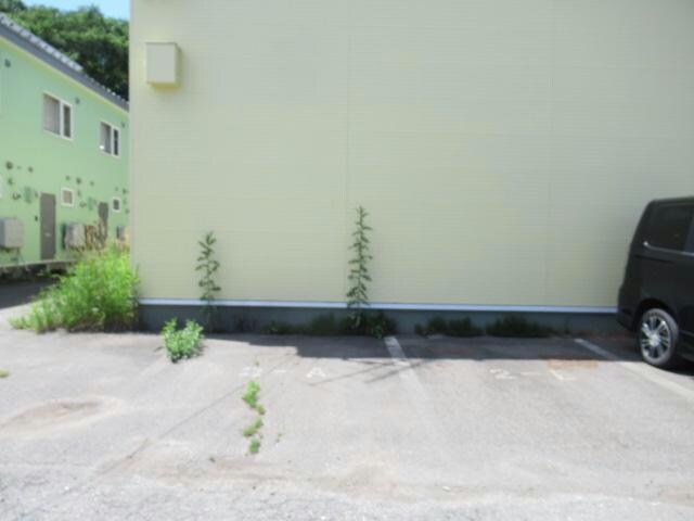 ＹＭＳ-Ⅱの物件外観写真