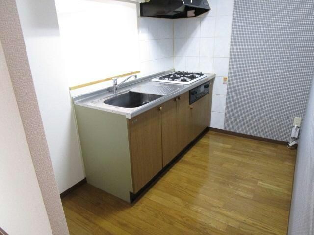 ドルシスⅡの物件内観写真