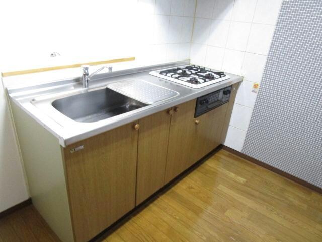 ドルシスⅡの物件内観写真