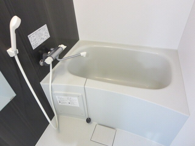 セントウレアの物件内観写真