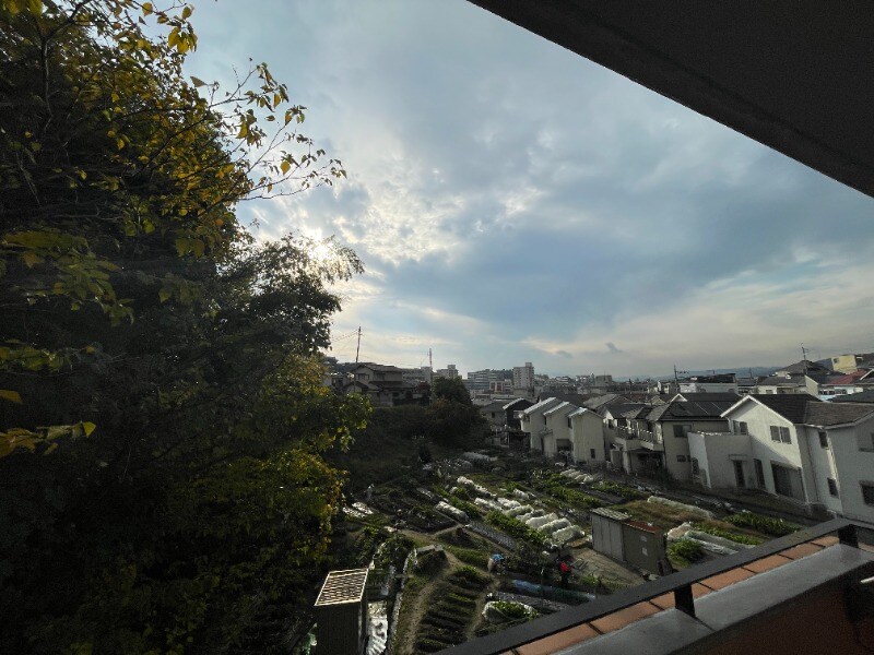 グランドローエの物件内観写真