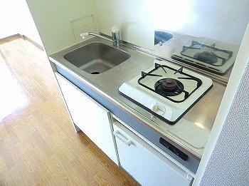 サンフレッチェ南条Aの物件内観写真