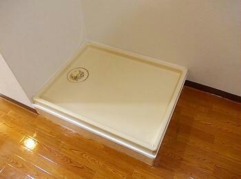 サンフレッチェ南条Aの物件内観写真