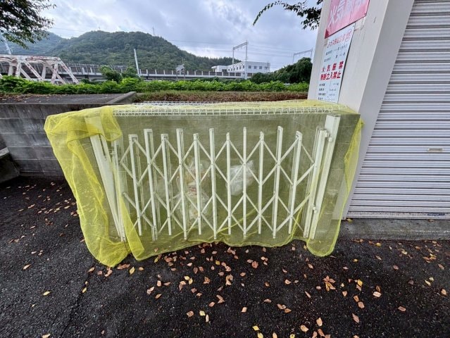 グランペール古賀の物件内観写真