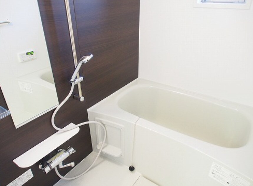 フラッツ・アイⅢの物件内観写真