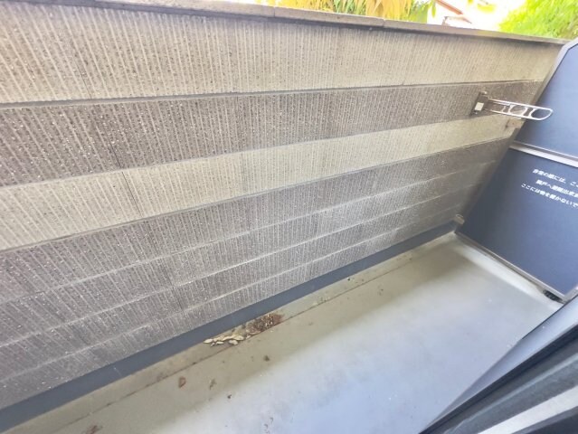 キャスティーヨ山野井の物件内観写真