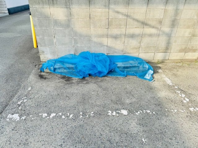 リノGrandBelle姫路の物件内観写真