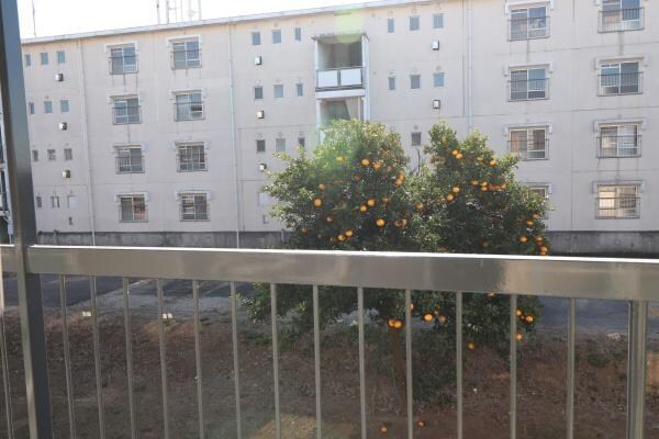 レインボーハウス有秋台西Ｃ35棟の物件内観写真