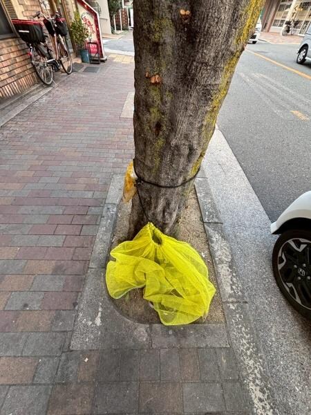 パールハイム針中野の物件外観写真