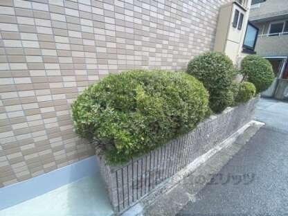 フォレスト西院の物件内観写真