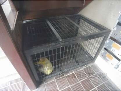 セントラルハイツの物件内観写真