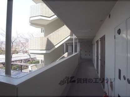 コート双ヶ丘の物件内観写真