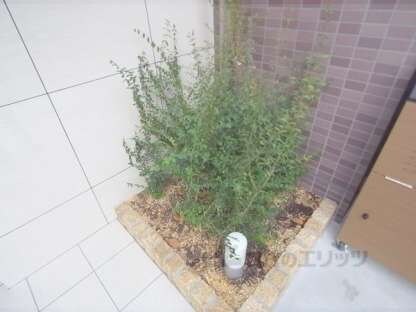 シエルコート一乗寺の物件内観写真