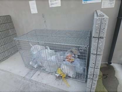 モダンアパートメント枚方岡山手の物件内観写真