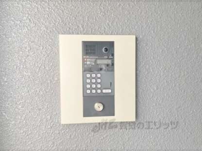 Ｄｏｌｃｅ　Ａｍａｒｏの物件内観写真