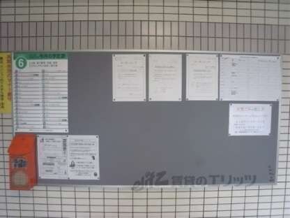 デイスターアベニューの物件内観写真