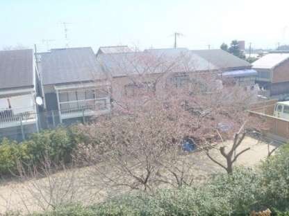 フローラ―ビュー赤マンマの物件内観写真