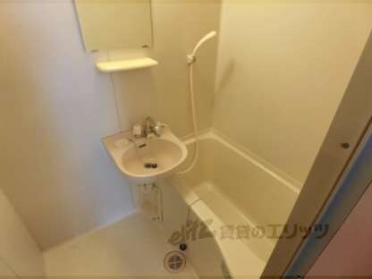 カーサテリトリオパエゼの物件内観写真