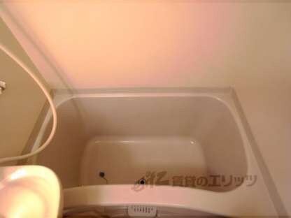 メゾン山城Ⅱの物件内観写真