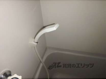 フォレストの物件内観写真