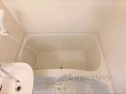 ラ・ビスタⅡの物件内観写真