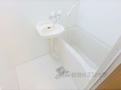 川端ハイツの物件内観写真