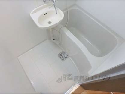 川端ハイツの物件内観写真