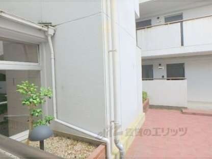 川端ハイツの物件内観写真