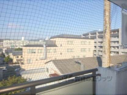 川端ハイツの物件内観写真