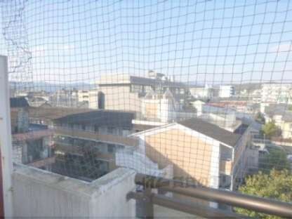 川端ハイツの物件内観写真