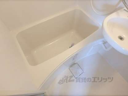 グレセントＹＹＵ―Ⅱの物件内観写真