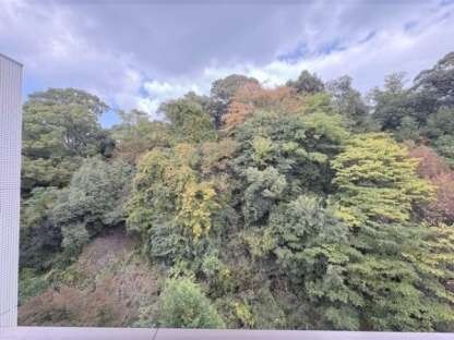 ヴィライーストの物件内観写真