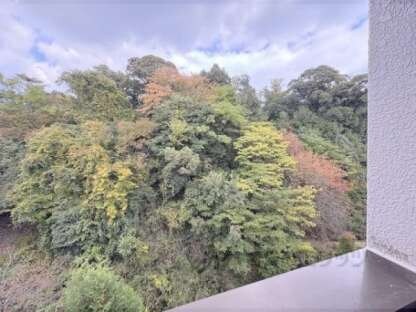 ヴィライーストの物件内観写真