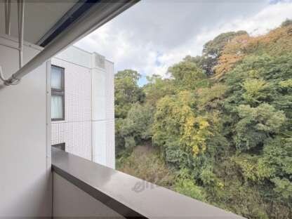 ヴィライーストの物件内観写真