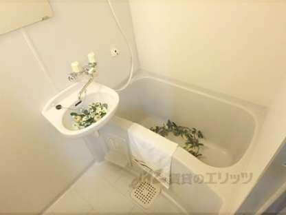 セントラル槙島の物件内観写真