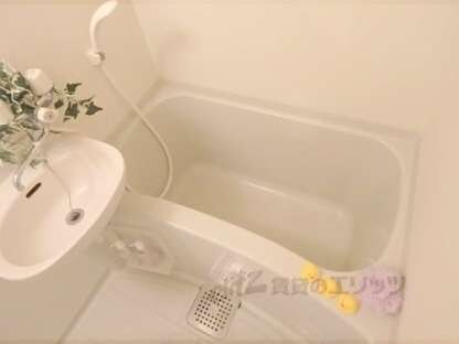 ラ・タミデンスの物件内観写真