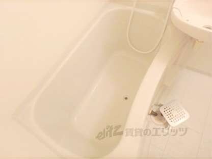 ラ・タミデンスの物件内観写真