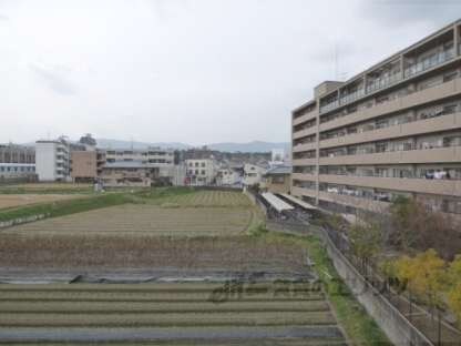 フロイデ東向日の物件内観写真