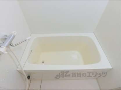 パインベルテⅡの物件内観写真