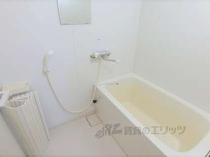 パインベルテⅡの物件内観写真