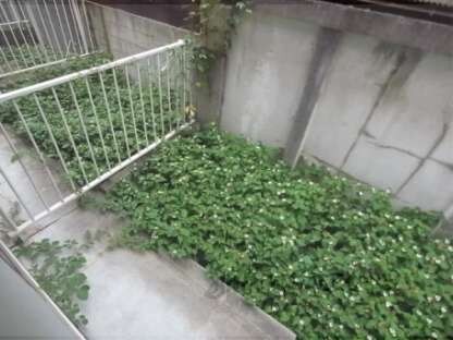 スッデンテンハイムベーレンの物件内観写真