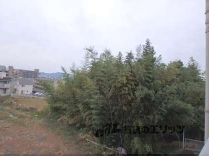 マリーブ１８２０の物件内観写真